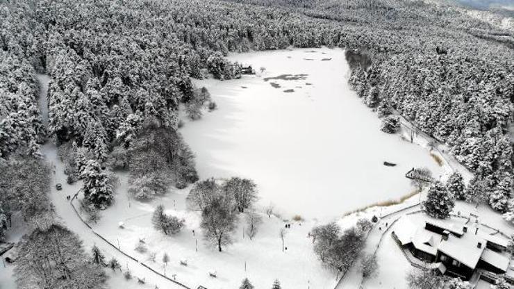 Masal gibi görüntüler: Gölcük Tabiat Parkında göl buz tuttu