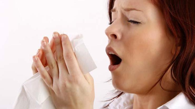 Sık hapşırma alerji işareti Alerjik nezleye yol açan faktörler neler
