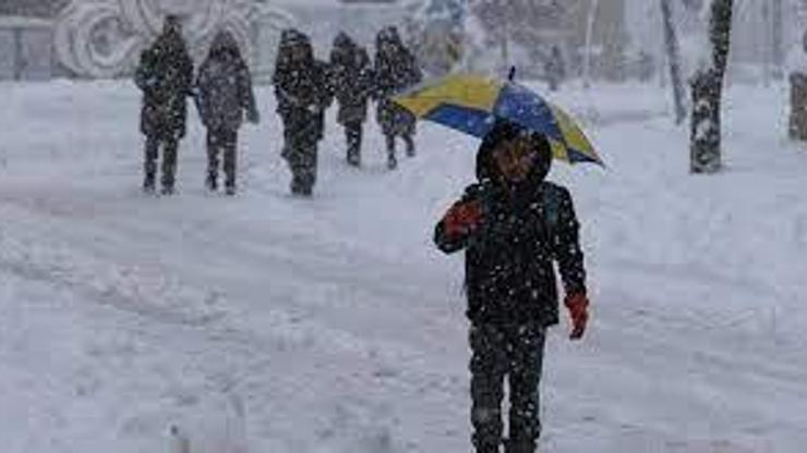Son dakika: Van’da okullar tatil mi 17 Ocak 2022 Van’da yarın okul var mı yok mu Ordu Valiliği kar tatili açıklaması yaptı mı