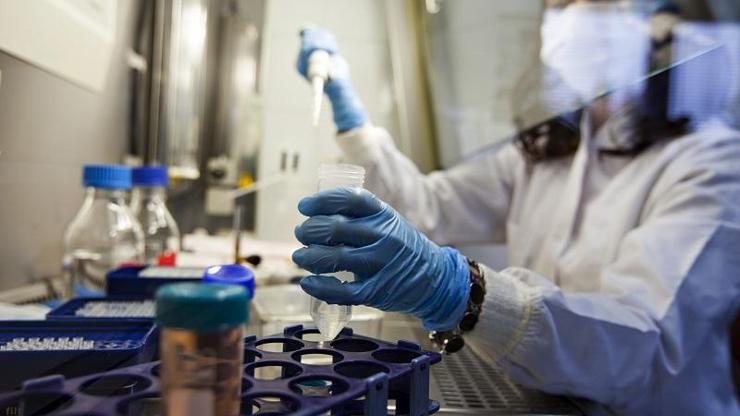 Bilimsel araştırma: HIV taşıyan farelerin yüzde 40ı yeni tedavi ile iyileşti