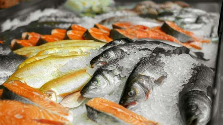 Balık tüketirken nelere dikkat edilmeli Hangi balıklar sağlımız için tehlikeli