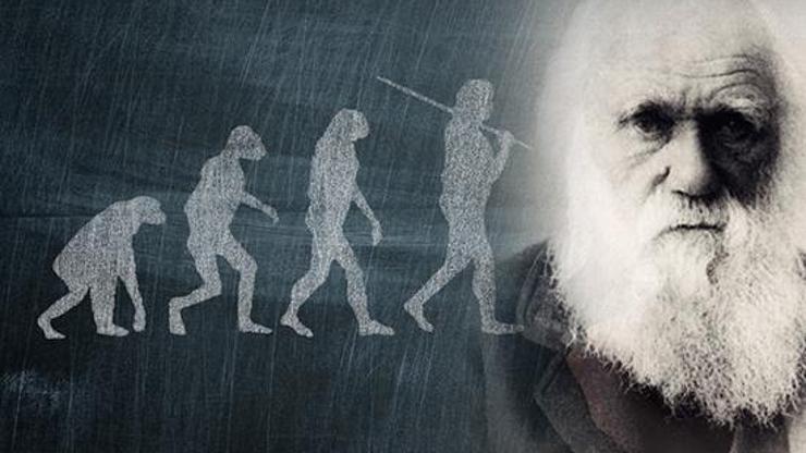 Evrim teorisi çalıntı iddiası bilim dünyasını sarstı