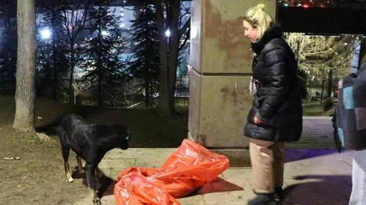 Ankarada 8 köpek yavrusu ölü bulundu Zehir verildi iddiası