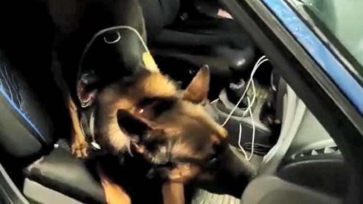 Sakarya’da uyuşturucu operasyonu