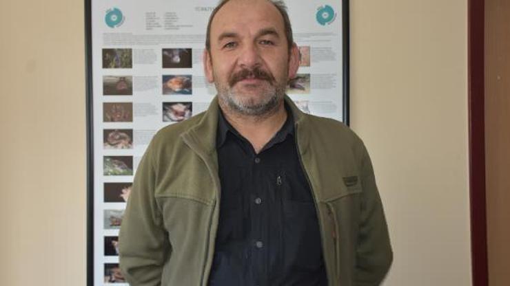 Türkiye’de 39, Niğde’de 10 tür yarasa çeşidi bulunuyor