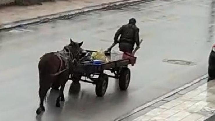 Atı yorulunca arabayı kendisi çekti
