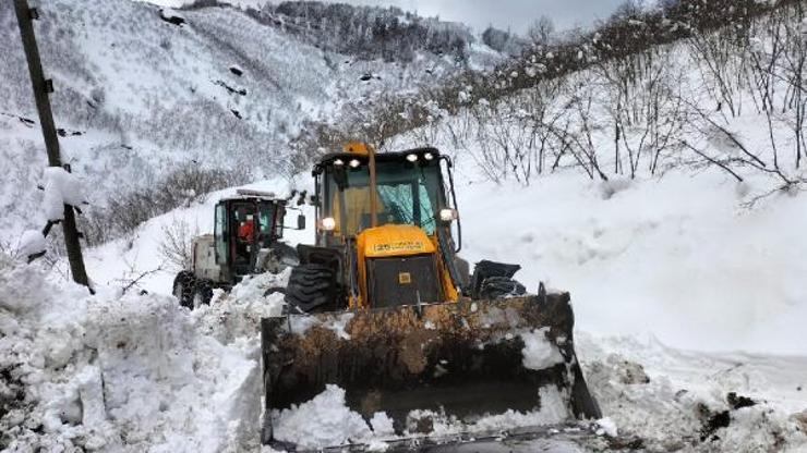 Doğu Karadenizde 305 yerleşim yerinin yolu kardan kapalı