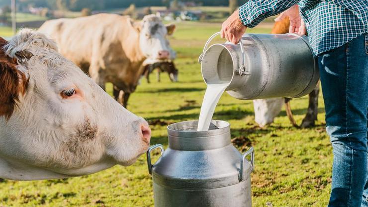 Süt üreticilerinden sanayicilere tepki