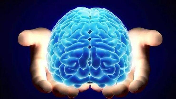 Beynin Görevleri Nelerdir Beyin Vücutta Ne İşe Yarar