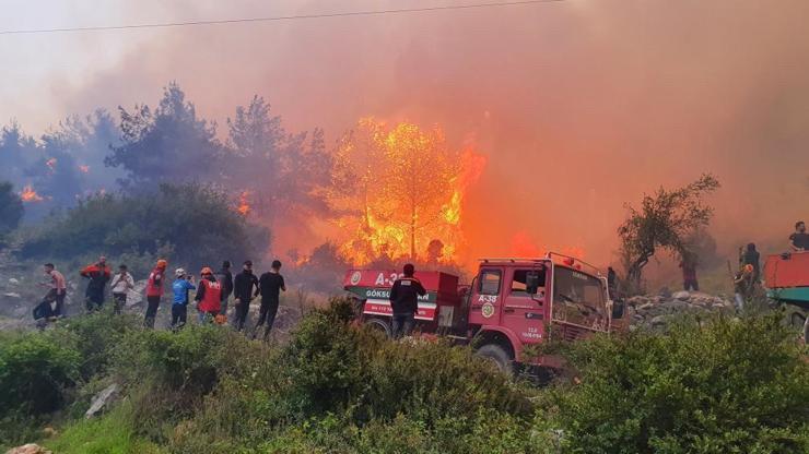 Hatayda korkutan orman yangını Söndürme çalışmalarına vatandaşlar da katıldı