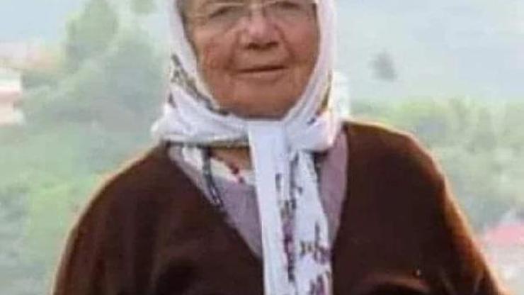 Komşudan dönen yaşlı kadın yol kenarında ölü bulundu
