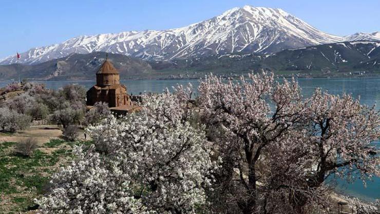 Çiçeklerle kaplanan Akdamar Adasına fotoğrafçı akını