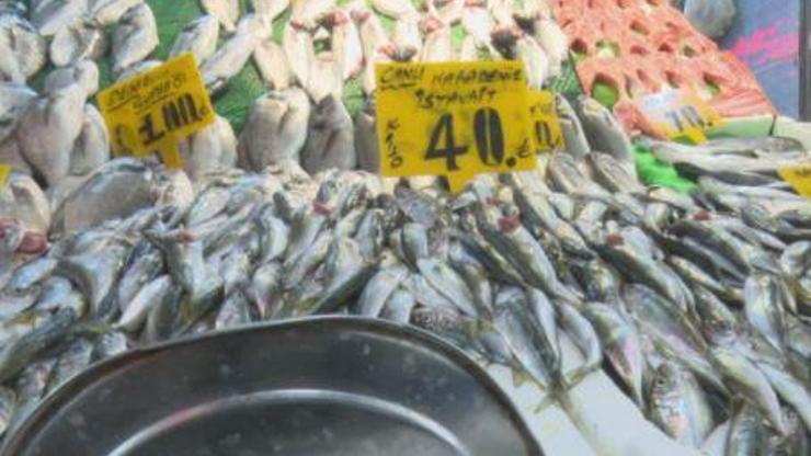 Balık tezgahında fiyatlar ne