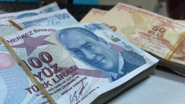 Türkiye de geçiş için çalışmalar yürütüyor... Para düzeninde yeni dönem -  Türkiye Ekonomi Haberleri