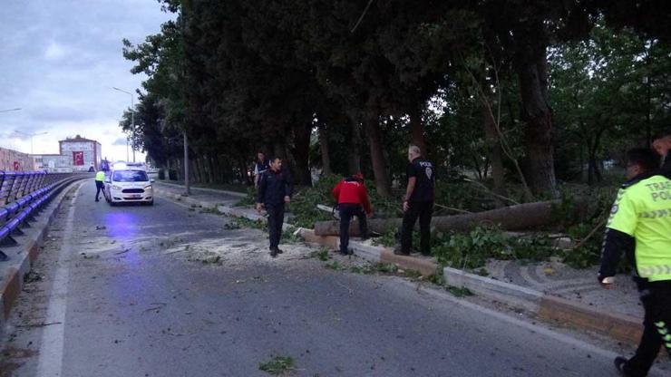 Fırtınada devrilen ağaç seyir halindeki otomobilin üzerine düştü