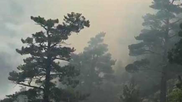 Antalyada orman yangını Ekipler müdahale ediyor