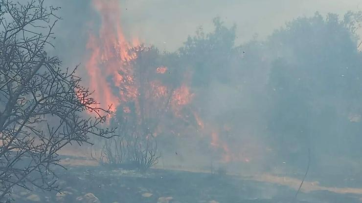 SON DAKİKA: Muğlada iki ayrı noktada orman yangını