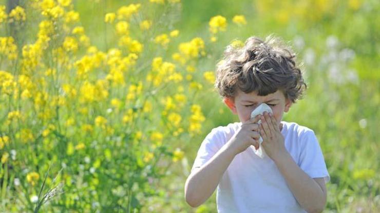 Alerjik hastalığı olanlara ‘polen’ uyarısı