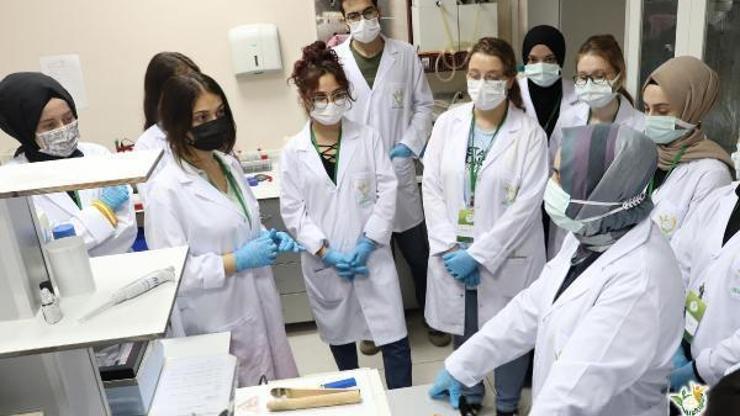 ‘Güneysu Bilim Köyü Projesi’ ile yaylada öğrencilere eğitim ‘Güneysu Bilim Köyü Projesi’ ile yaylada öğrencilere eğitim