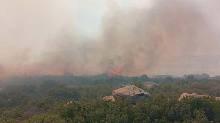 Çanakkalede orman yangını: Kontrol altına alındı