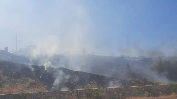 Bodrum’da makilik alanda yangın