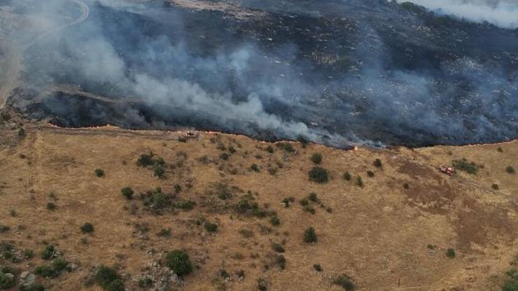 İzmirdeki yangında 10 hektar makilik zarar gördü