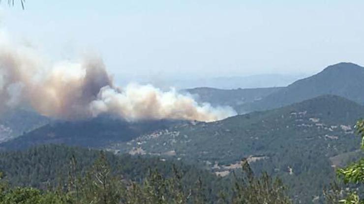 SON DAKİKA: Balıkesirde orman yangını Valilikten ilk açıklama