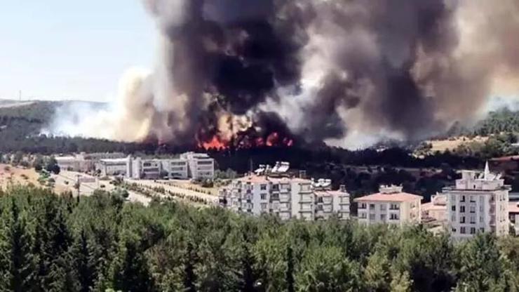 Son dakika Gaziantepteki orman yangını kontrol altına alındı
