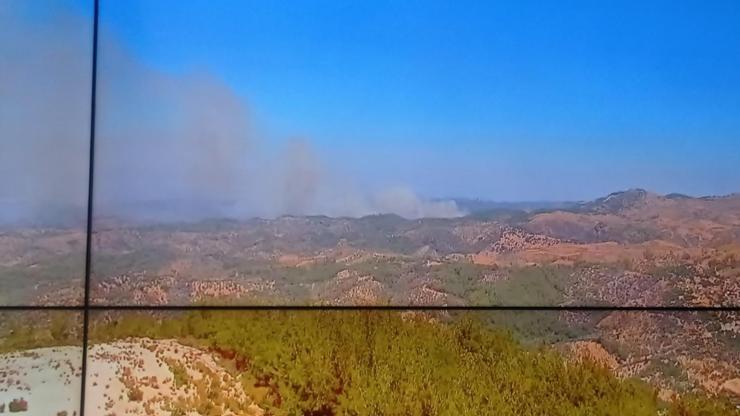 İzmir Seferihisar’da orman yangını