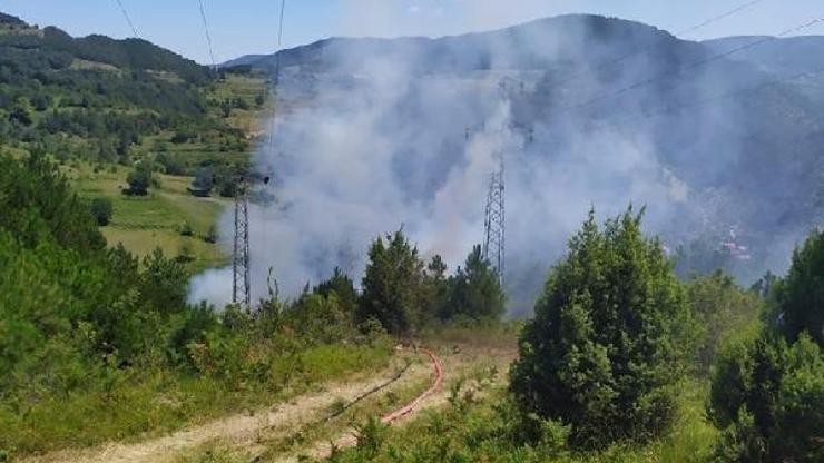 Ormanlık alanda yangın: 4 dönüm arazi etkilendi