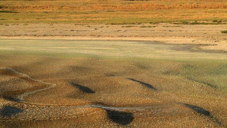 Burdur Gölünde alg patlaması: Suyun rengi değişti