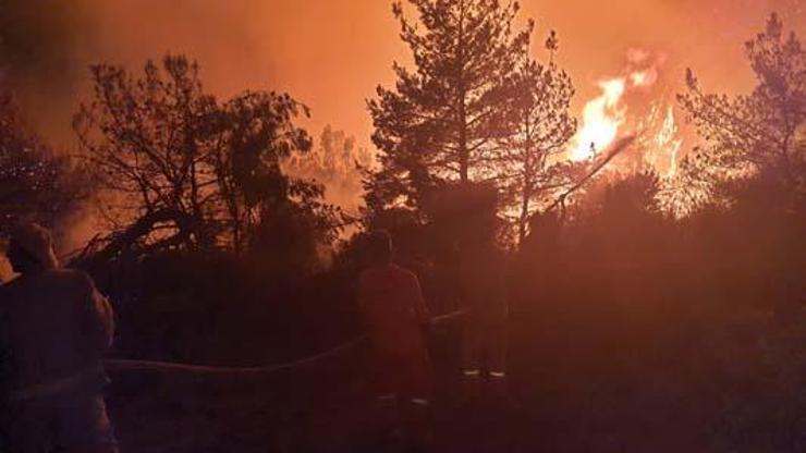Manisa Somada orman yangını
