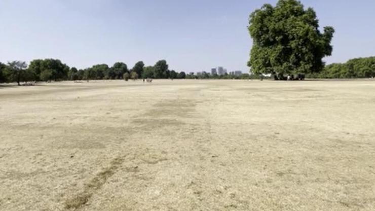 Londrada aşırı sıcak krizi: Çimlerde sonbahar havası