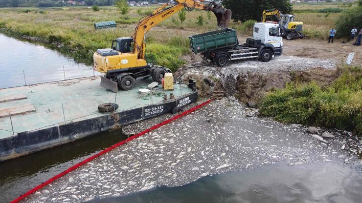 Felaketin nedeni araştırılıyor: Oder Nehrinden 100 ton ölü balık çıkarıldı