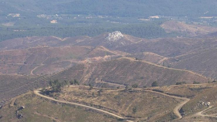 Karabağlar yangının 3. yılı: Temizlenen alanlar yeniden yeşillendirildi