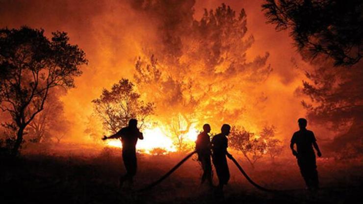 Orman yangınlarını önleyecek erken tespit sistemi KOZALAK hayata geçirildi