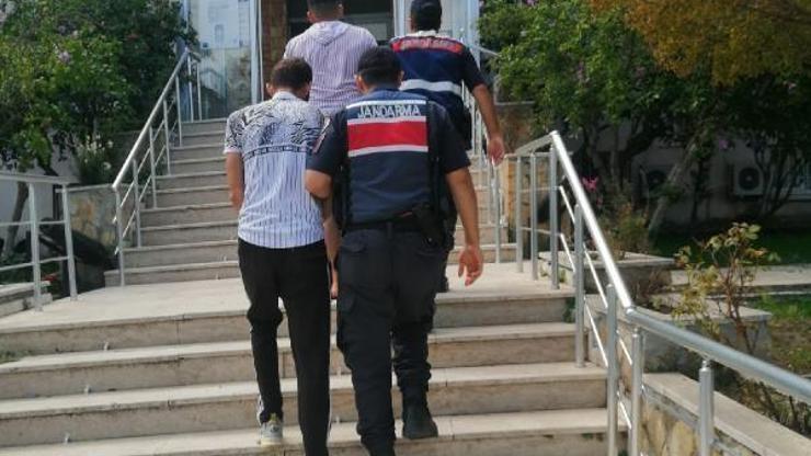 Edirne’de küçükbaş hayvan hırsızlığına 3 gözaltı