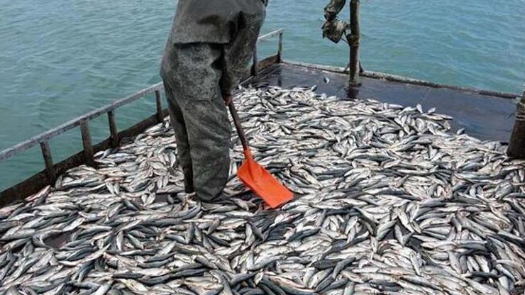 Bakan Kirişciden balıkçılara müjde: Ziraat Bankası kredi kullandıracak