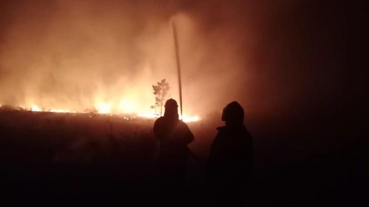 Kazakistanda orman yangını: 10 yaralı