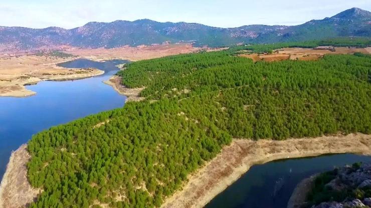Yeşil teknoloji AR-GE projelerine destek
