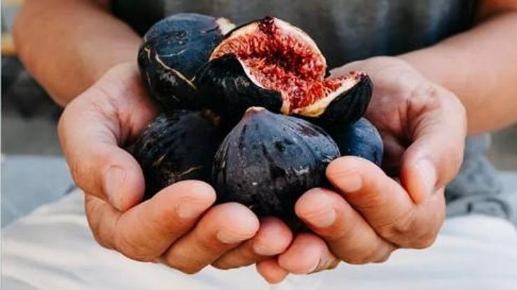 Günde 2 adet incir tüketirsek vücudumuzda neler olur