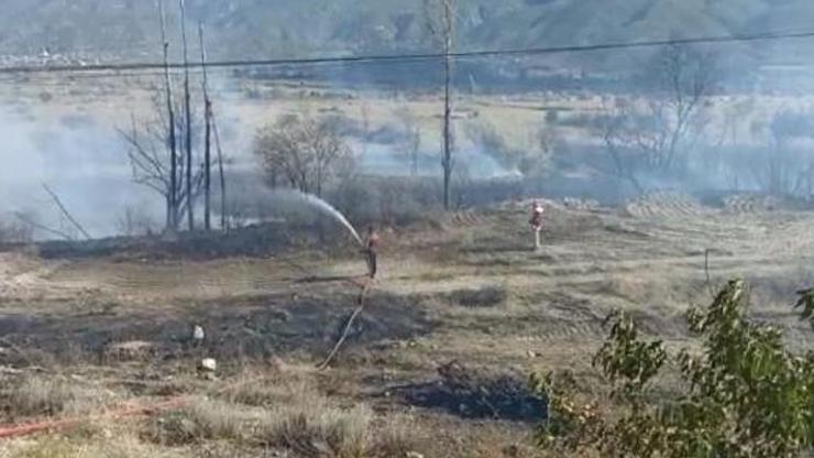 Tosyada anız yangını 50 hektar tarım arazisi zarar gördü