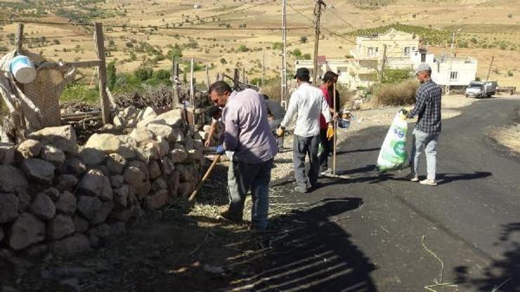 Gercüş’te köyün gençleri farkındalık için çevre temizliği yaptı