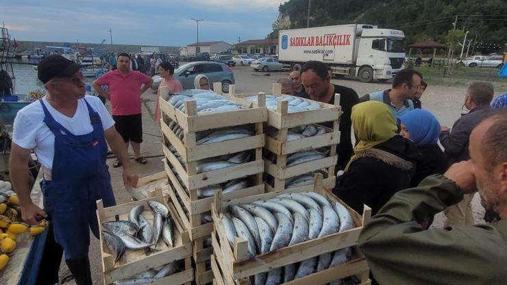 Kastamonuda balıkçılar palamudu bolluktan ücretsiz dağıttı