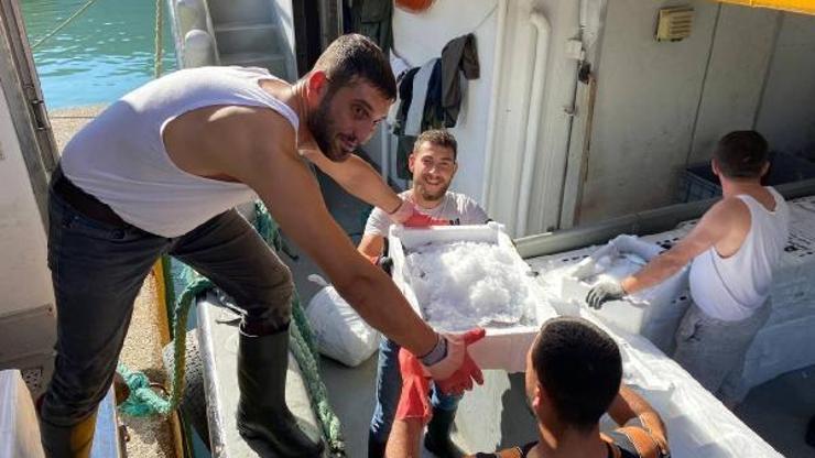 Amasra açıklarında palamut bolluğu Amasra açıklarında palamut bolluğu