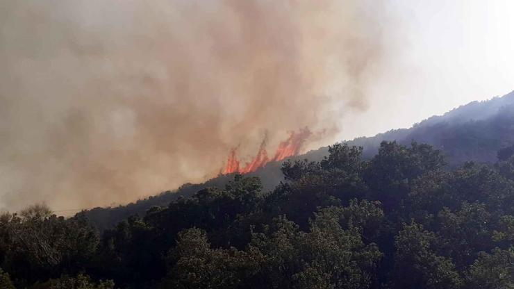 Antalyada makilik yangını: Müdahale ediliyor