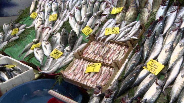 Balık tezgahlarında fiyatlar nasıl