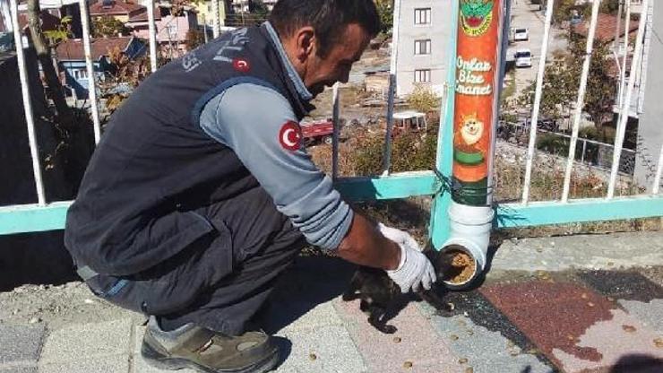 Orhaneli Belediyesi, havaların soğumasıyla sokak hayvanlarının beslenmesine ağırlık verdi