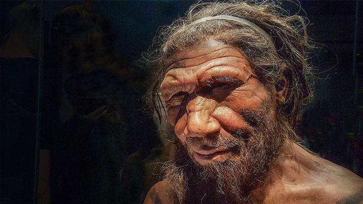 Bilim insanları: ‘Neandertaller seks yüzünden yok oldu’