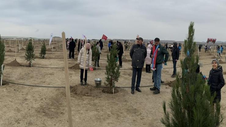 Azerbaycan’da Milli Ağaçlandırma Günü: 111 bin fidan dikildi